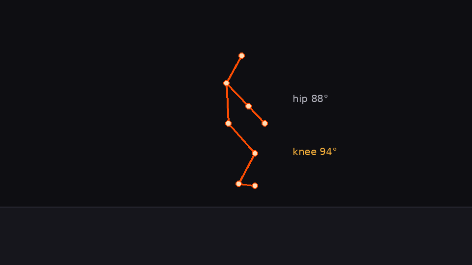 Representative frame with pose overlay from your lift